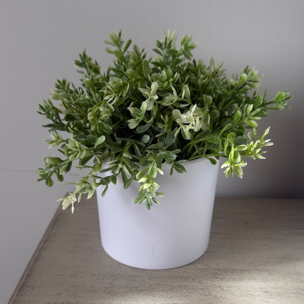 Faux Plant in White Planter